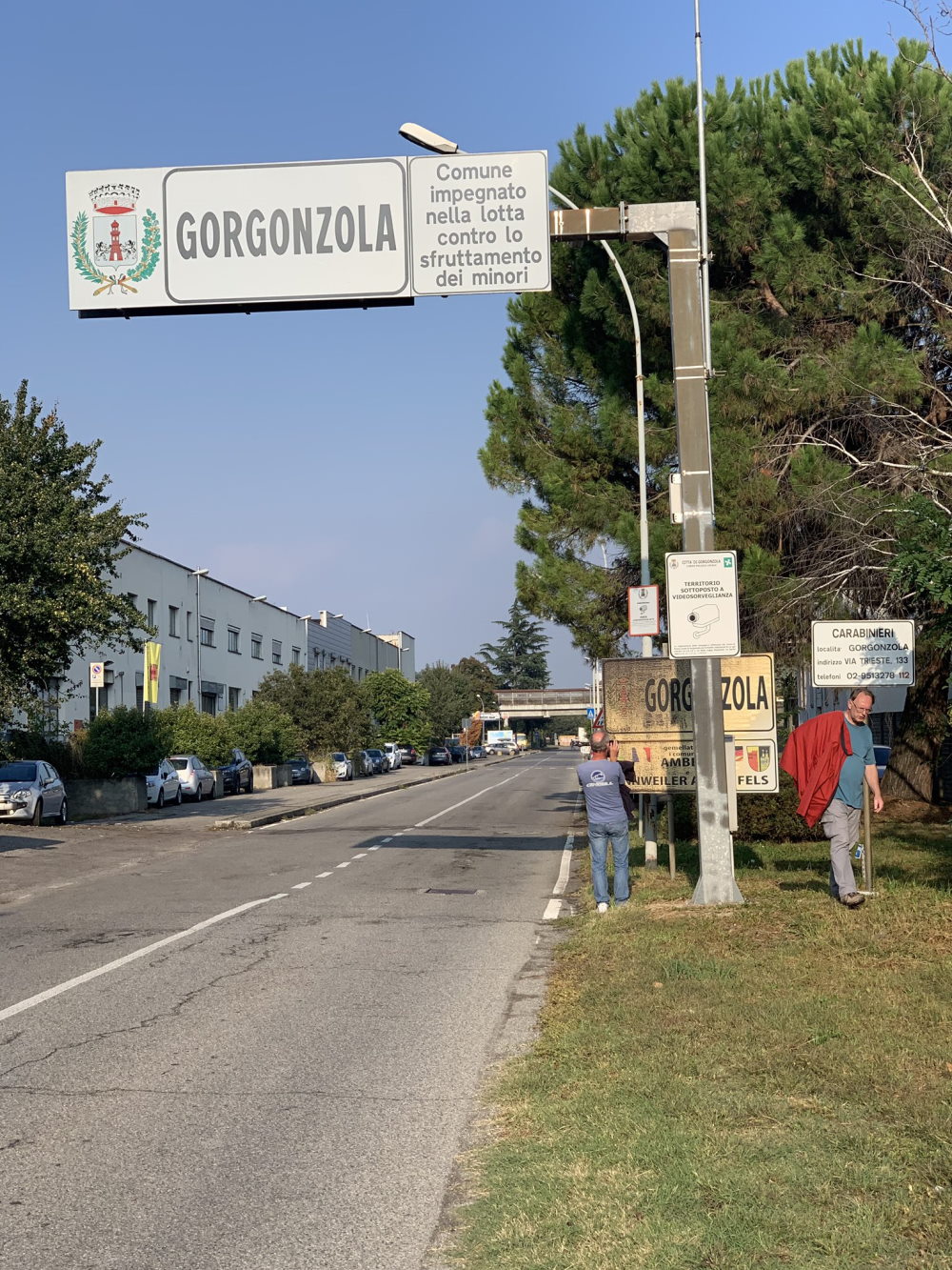 Gorgonzola photo