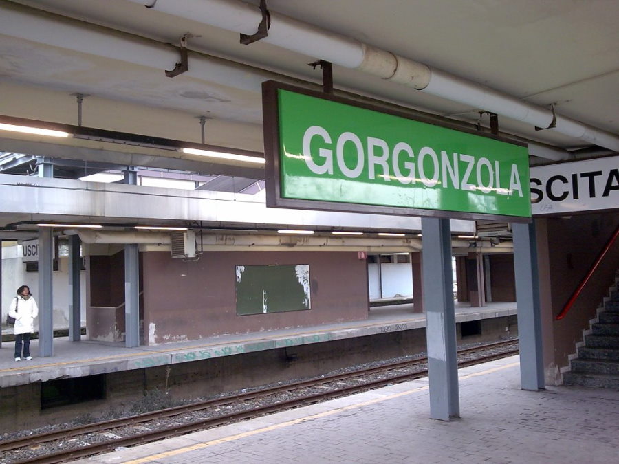 Gorgonzola photo