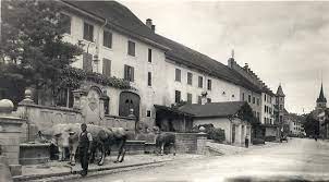 Hallau photo