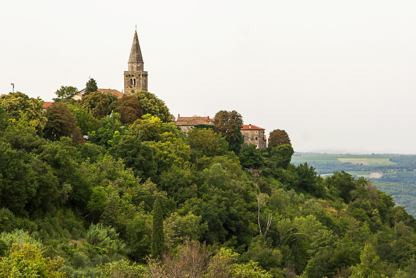 Grožnjan photo