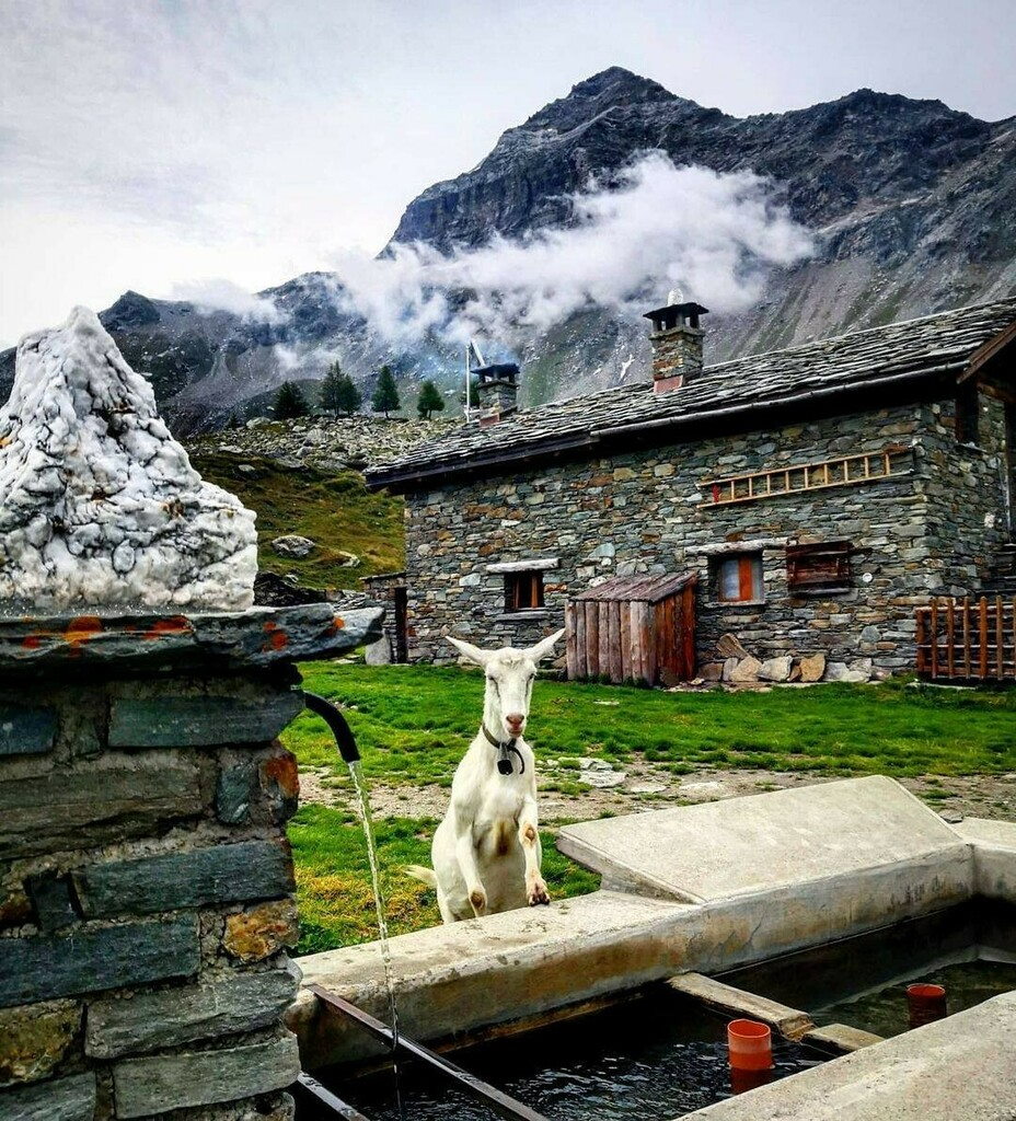 Sondrio photo